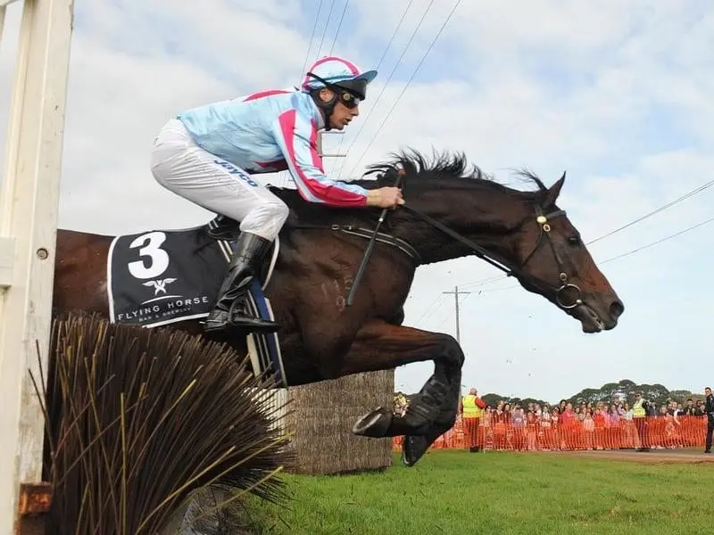Champion jumper Al Garhood, winner of 2 Brierly and 2 Grand Annual Steeplechases, has died at 18. al