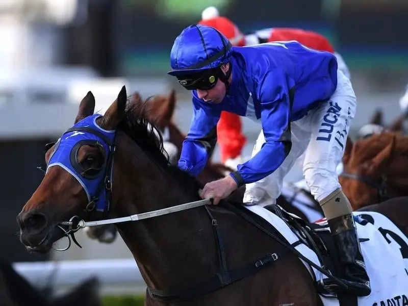 Group One winner Capital Gain will run in a barrier trial to prepare for his next assignment. gain