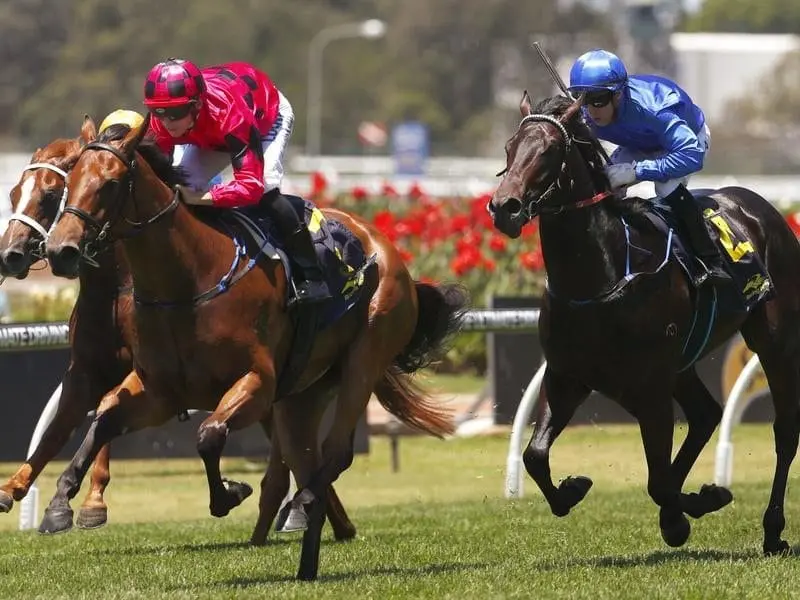 Secret Lady (pink/black) has won a barrier trial ahead of her lead-up race to the Magic Millions. lady