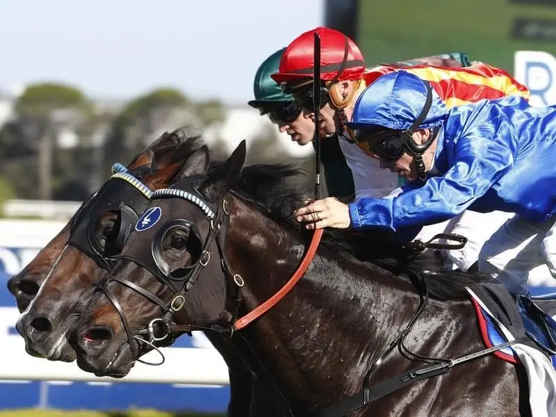 Pipeline (centre) will runat Warwick Farm to try to erase memories of his last-start close second. pipeline