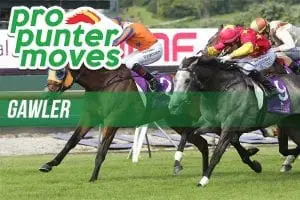 Gawler Market Movers Gawler market movers for Wednesday, May 23