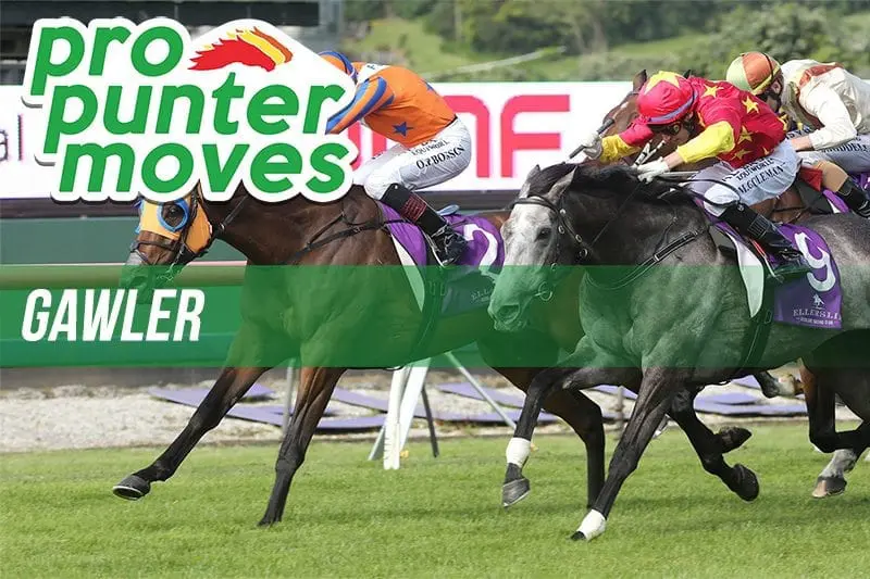 Gawler Market Movers