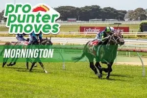 Mornington Market Movers Mornington market movers for Monday, April 16