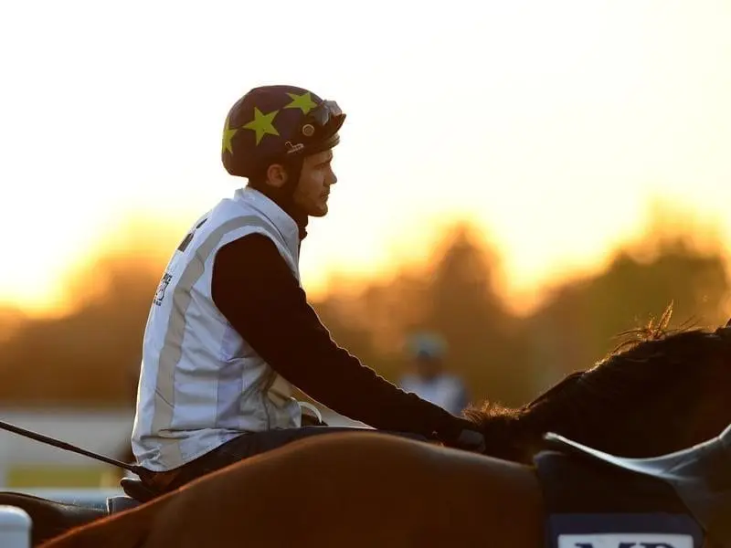 Jockey Michael Walker takes a horse out for a light session.