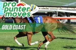 Pro Punter Moves Gold Coast PPM Gold Coast