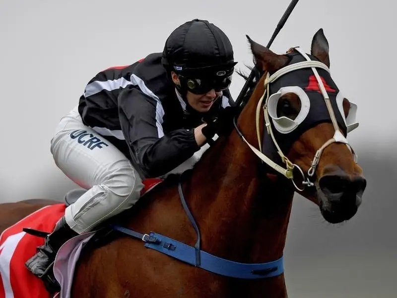 Wet-track specialist Jungle Edge is set for a quick back-up at Pakenham after winning at Sandown. Jungle Edge will continue an extended racing campaign at Pakenham.