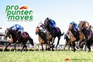 Pro Punter Movers generic 1 feature image size Belmont betting moves for Wednesday, June 20