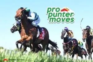 Pro Punter Movers generic 2 feature image size Gatton market movers for Thursday, June 21