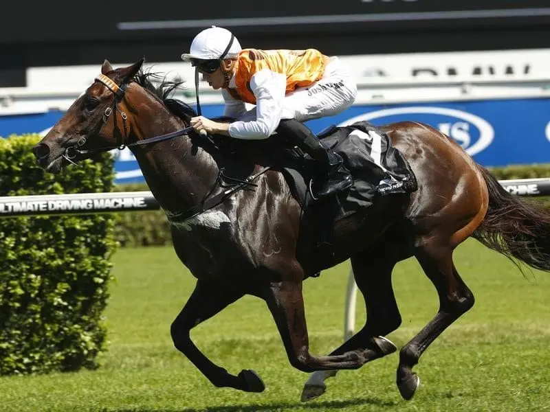 Anatola wins at Randwick