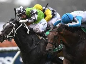 Villiers Stakes start confirmed for Irish import Mister Sea Wolf