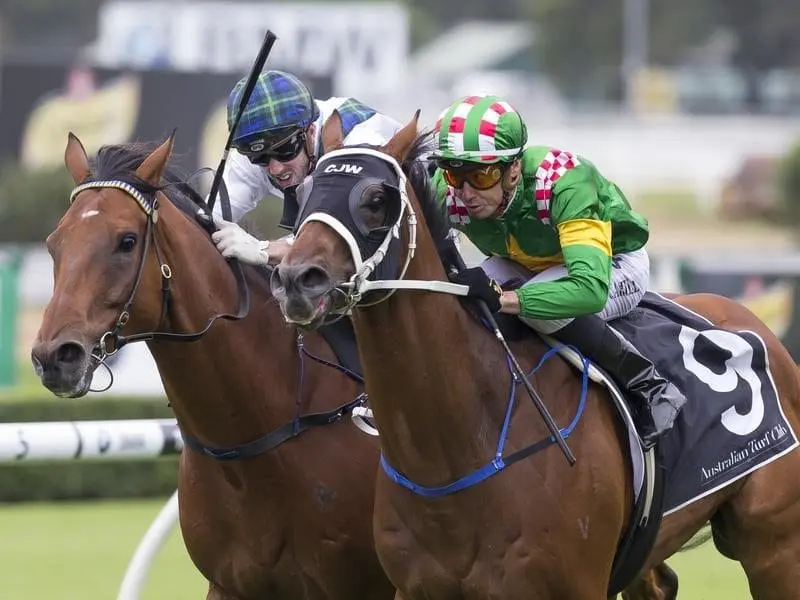 Montauk (r) has given country jockey Mathew Cahill a rare stakes win at Randwick in the Summer Cup. cup