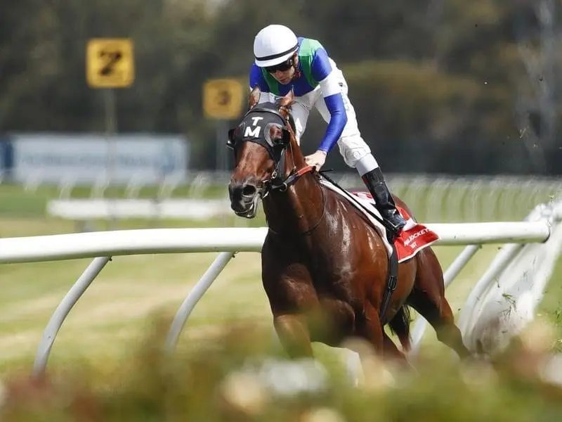 Gambler's Blues has ended a 10-race losing streak with his first career win at Rosehill. Jockey Adam Hyeronimus rides Gambler's Blues to win race 5
