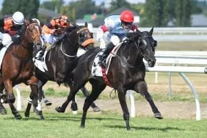 Shared Secrets winning at Awapuni