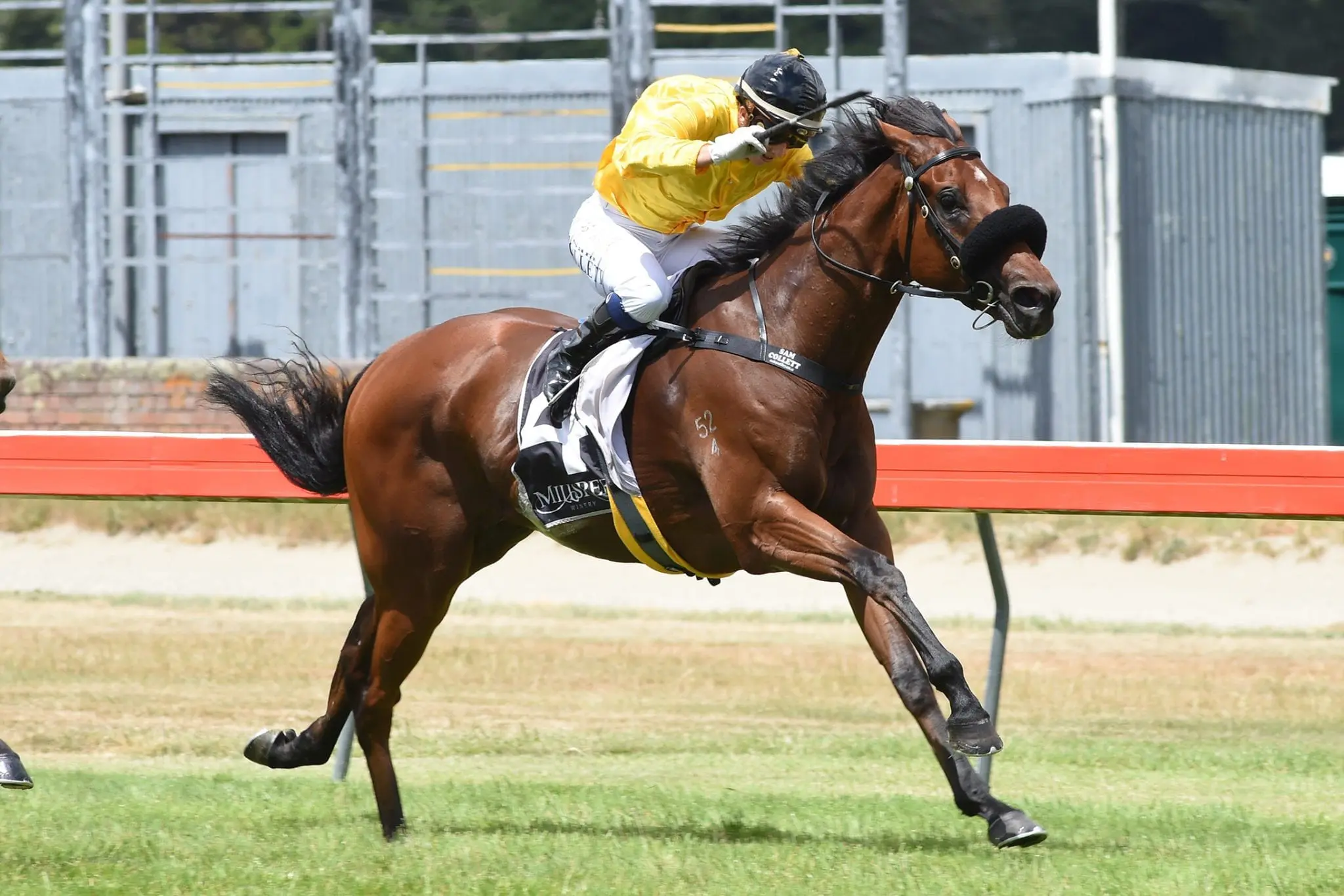 Smokin' Oak was one of a winning treble for jockey Sam Collett
