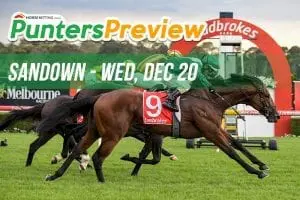 Sandown Punters