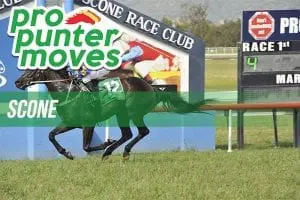 Scone Market Movers Firmers & drifters for Scone Cup Day, Friday, May 11