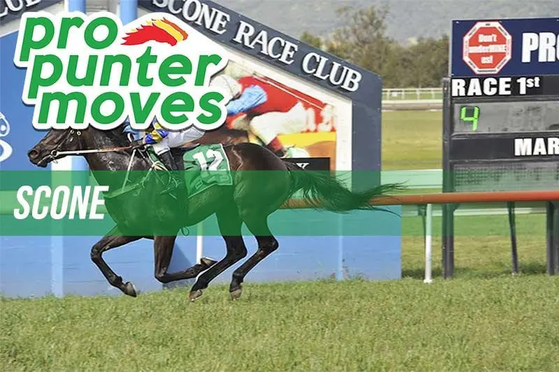 Scone Market Movers