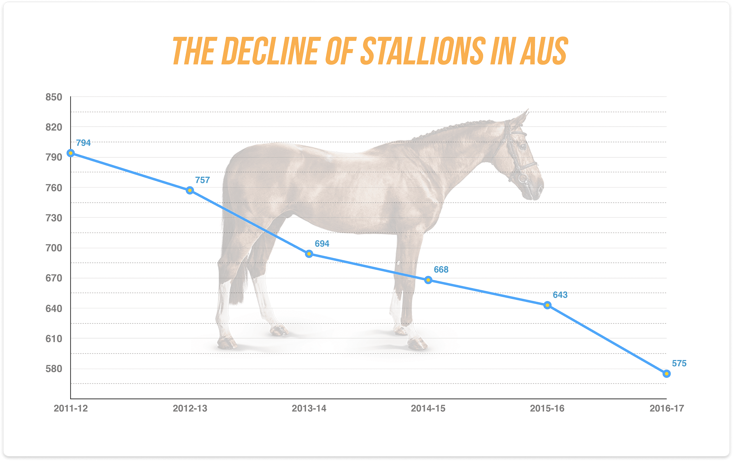 Stallions Graphic