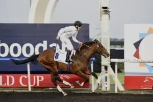 Toast Of New York winning the 2014 UAE Derby