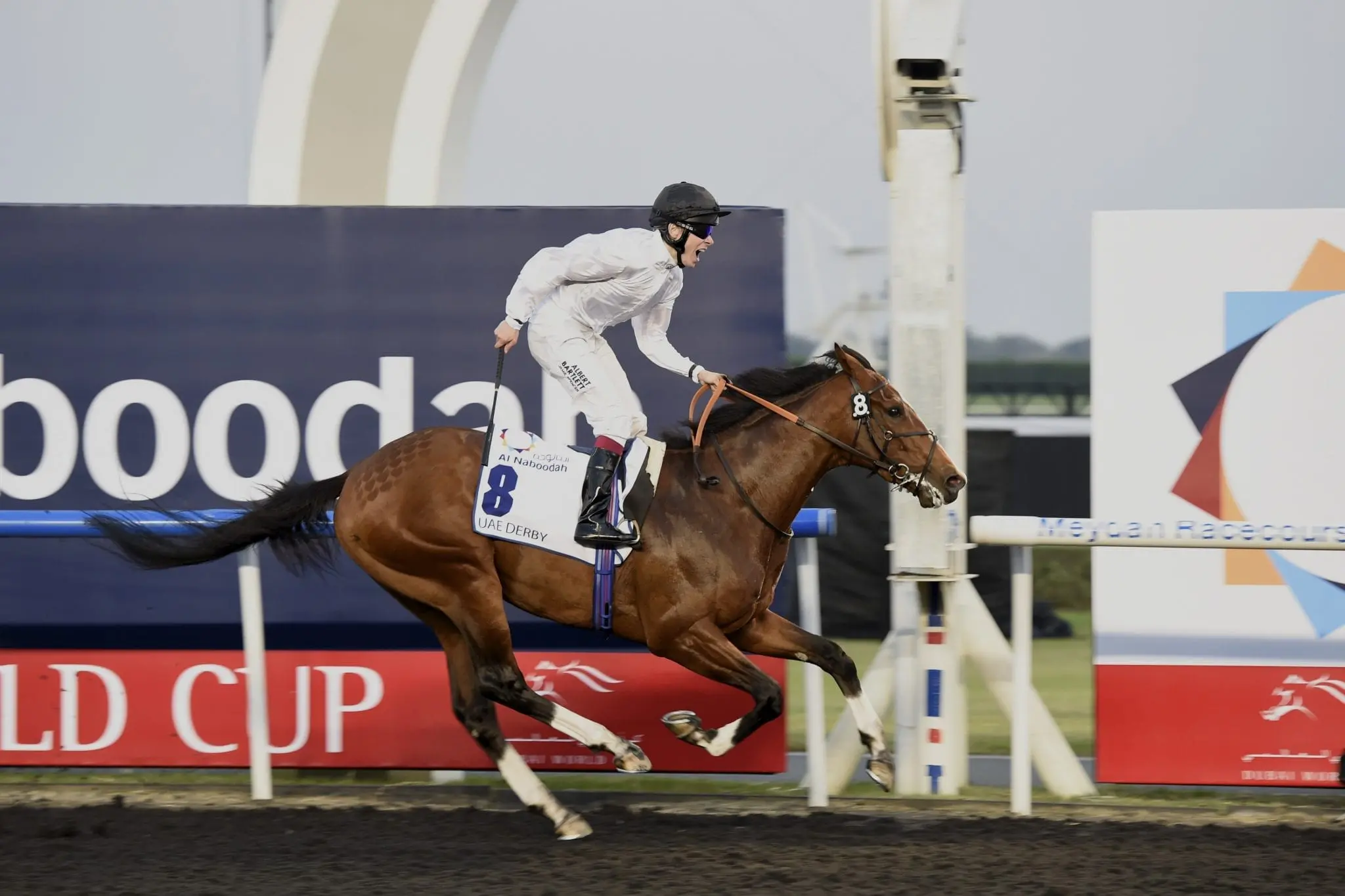 Toast Of New York winning the 2014 UAE Derby