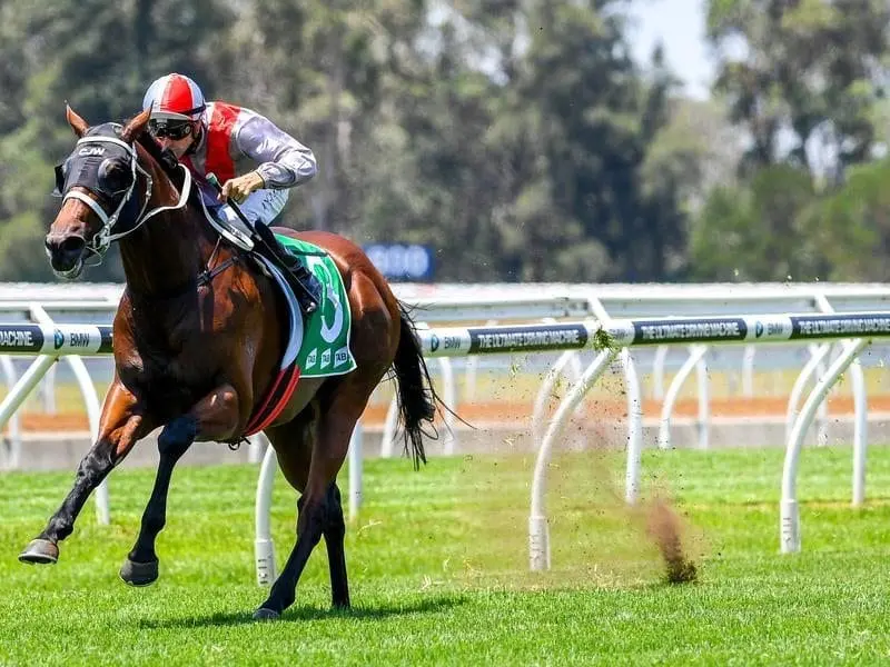 Scream Park has enhanced his prospects of a start in the Karaka Million 3YO Classic in New Zealand. Scream Park wins at Warwick Farm.