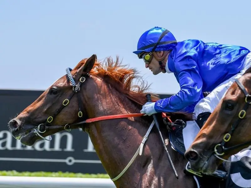 Godolphin colt Condemned makes a winning start to his racing career at Warwick Farm. Condemned wins at Warwick Farm.