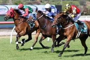 Yearn winning with Trudy Thornton in the saddle