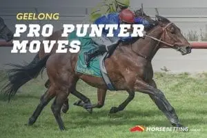 Geelong racing tips