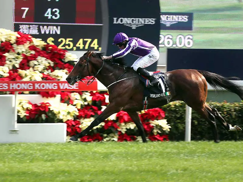 Highland Reel wins Hong Kong Vase