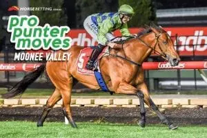 Pro Punter Moves at Moonee Valley best bets moon valley races