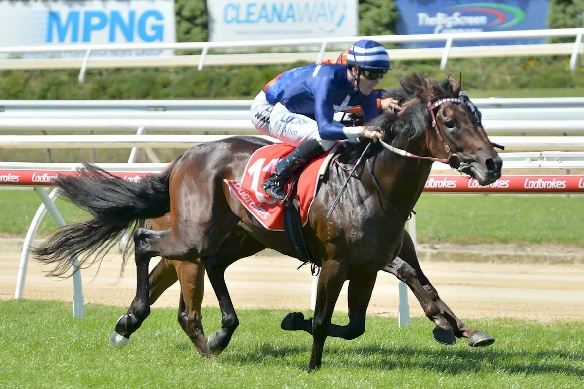 Civil Disobedience winning at Mornington