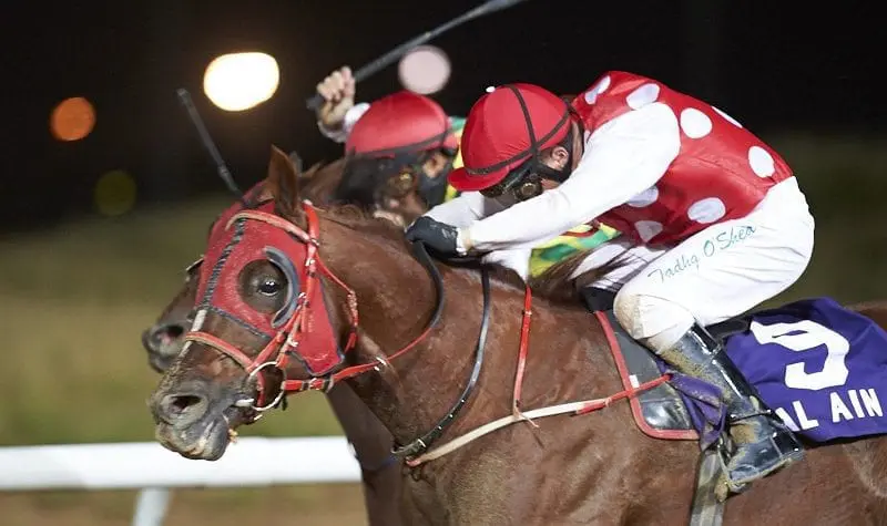 Sheikh Down winning at Al Ain