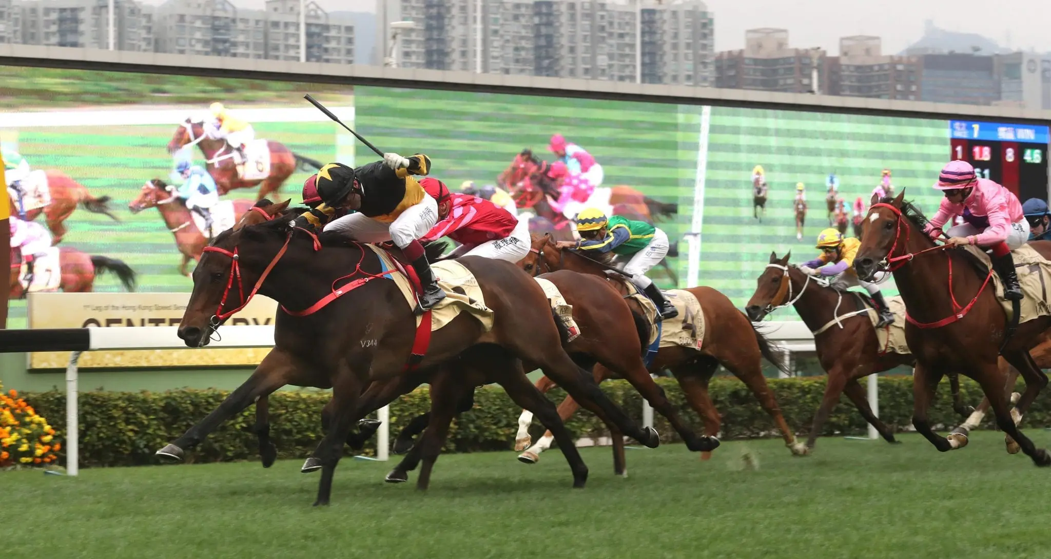 DB Pin winning the Centenary Sprint Cup