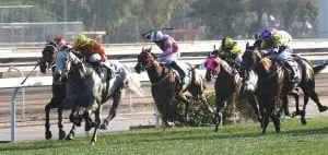 Pingwu Spark wins again