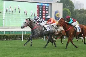 Fifty Fifty  will contest the HK G1 Stewards Cup