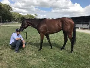 Anthemoessa & Matt Cumani