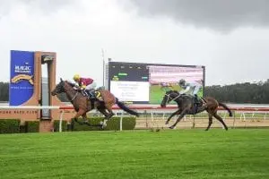 Aqua D'ivina winning at Wyong