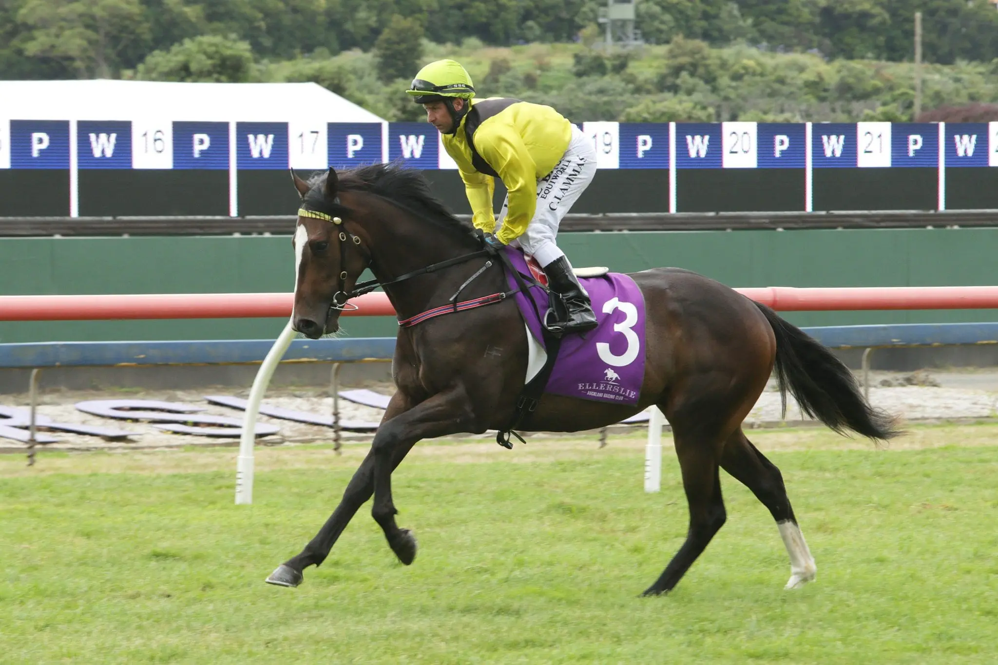 Bit Lippy will head to New Plymouth 2yo Classic