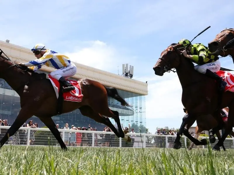 Debut winner Ollivander will be given his chance in the Blue Diamond Stakes preview at Caulfield. olli