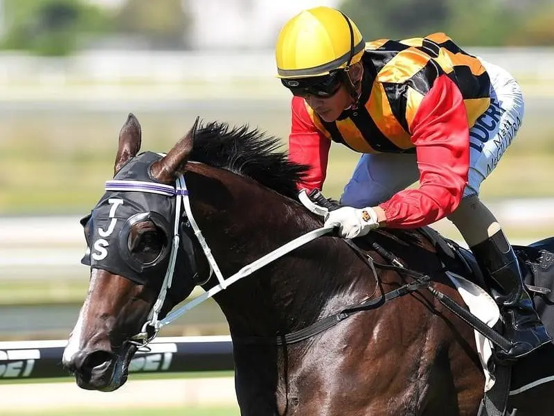 Trainer Tony Sears believes Doomben winner Basara can develop into a stakes performer. basasra