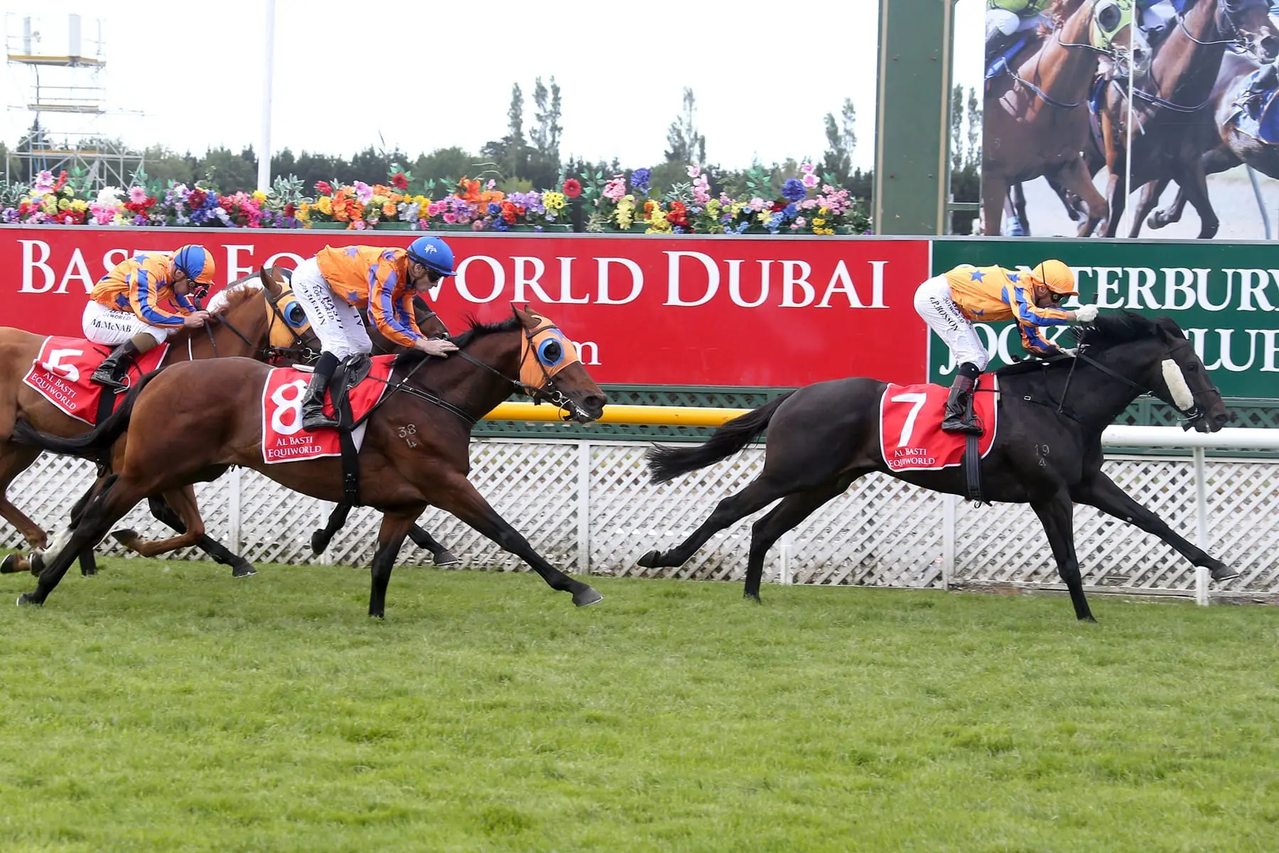 Embellish winning the NZ Guineas