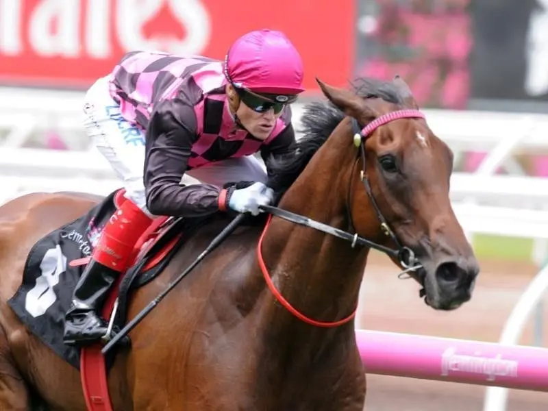 Willi Willi wins at Flemington.