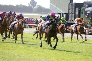 Gobstopper winning the New Zealand Cup