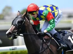 Fish ‘N’ Snitz to stake her Brisbane Winter Carnival claims Fish 'N' Snitz to stake her Brisbane Winter Carnival claims