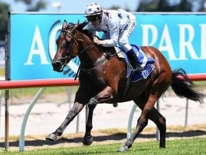 Tony McEvoy's Magic Millions Classic plan is working perfectly