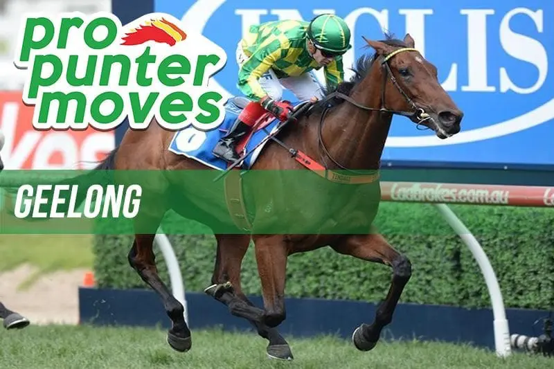 Geelong Market Movers