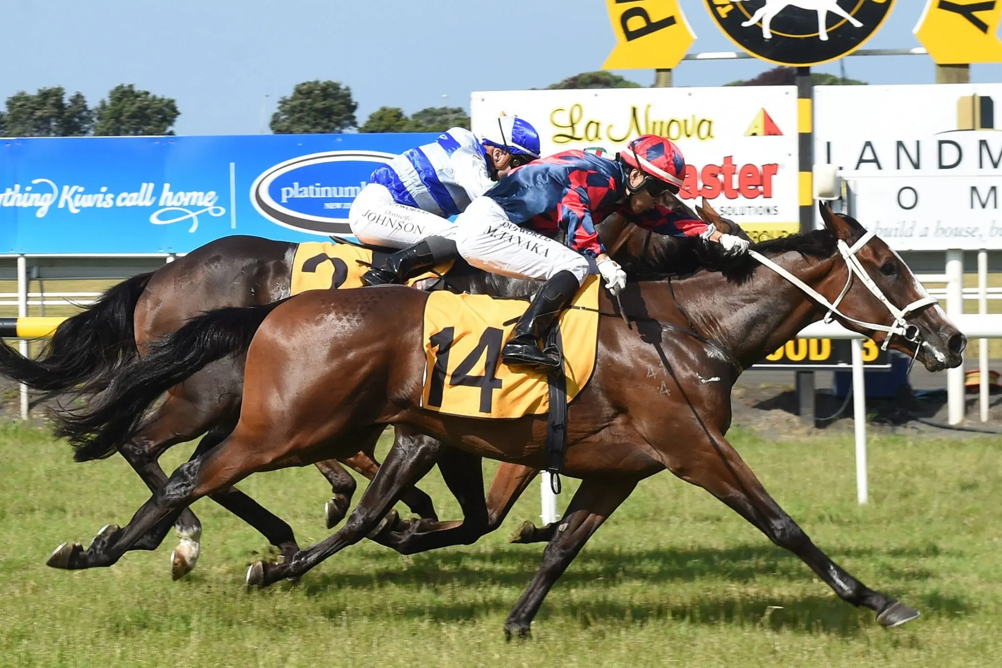 Larima winning at Taranaki 