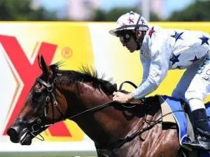 Luke Currie has confidence in Sunlight in Magic Millions Classic