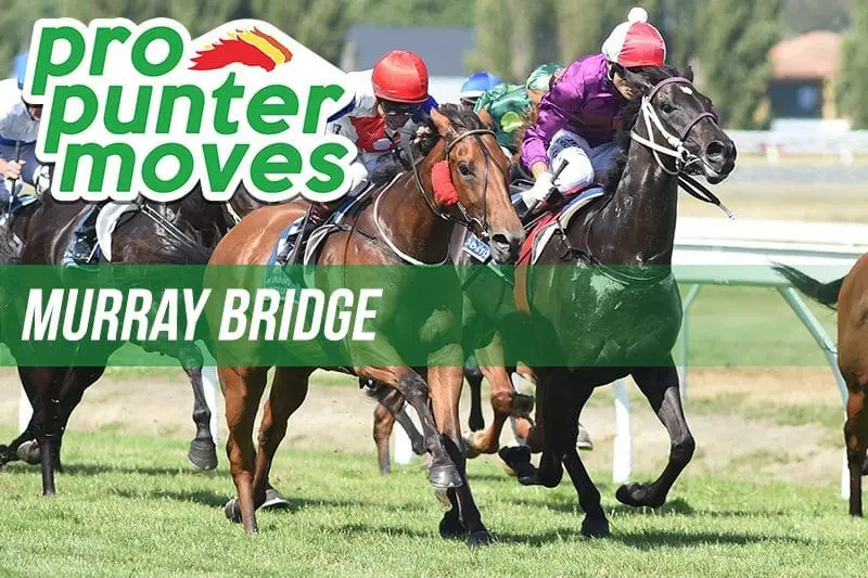 Murray Bridge Racing Murray Bridge Market Movers