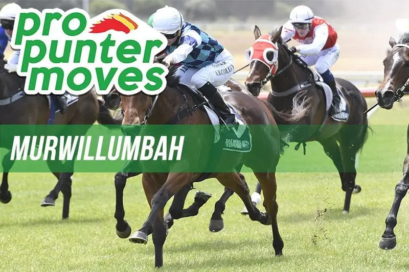 Murwillumbah Market Movers